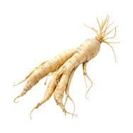Panax ginseng root extract