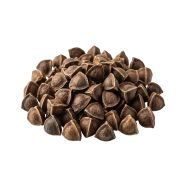 Moringa seed extract